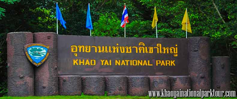 Welcome to Khao Yai National Park covers more than 2,000 square kilometers of forest and grassland in central Thailand. More than 50 km of hiking and biking trails wind through the long-standing nature preserve, and its many waterfalls include 150m-tall Haew Narok and 20m-tall Haew Suwat, immortalized in the Danny Boyle film 'The Beach.' The park also shelters diverse wildlife such as bears, gibbons, elephants and hornbills.