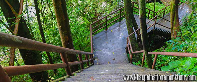 Way to Khaoyai National Park, Khao Yai Trekking Tour