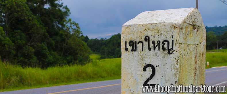How to go to Khao yai national park from Bangkok?