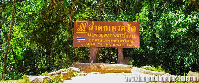 Haew Su Wat Waterfall Khao Yai National Park Thailand The Beach Movie