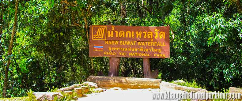 Haew Su Wat Waterfall Khao Yai National Park Thailand The Beach Movie