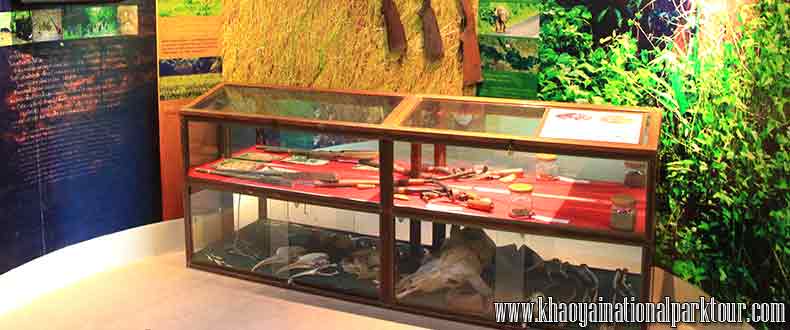 Khao Yai National Park Visitor Center,Khao Yai National Park Visitor Center, Everything you need to know about Khao Yai National Park Visitor Center with all nearby routes and curiosities,Khao Yai Trekking Tour