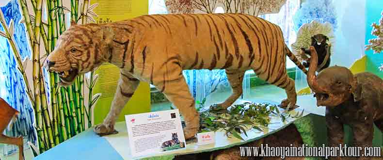 Khao Yai National Park Visitor Center,Khao Yai National Park Visitor Center, Everything you need to know about Khao Yai National Park Visitor Center with all nearby routes and curiosities.Khao Yai Trekking Tour