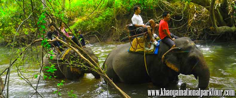 Khao Yai Elephant Ride Tour Experience to elephant trekking trip in the jungle with enjoy to the Elephant ride through jungle and creeks