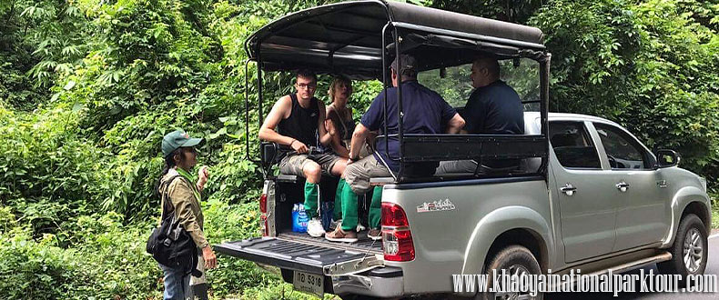 Travel to Khao Yai by Adventure local truck car, enjoy to see views of Khao Yai National Park, Khao Yai Tour from Bangkok