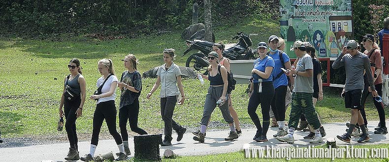 Time for Trekking wildlife trip about 3 k.m., Khao Yai Tour from Bangkok