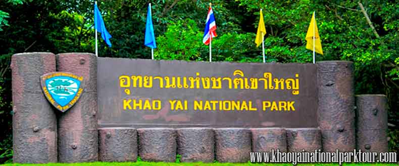 Khaoyai Package 2D1N tour Khao Yai tour 2 days 1 night from Bangkok to Khao yai national park adventure wild nature trips Thailand booking