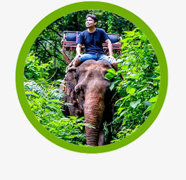 khao yai elephant ride tour