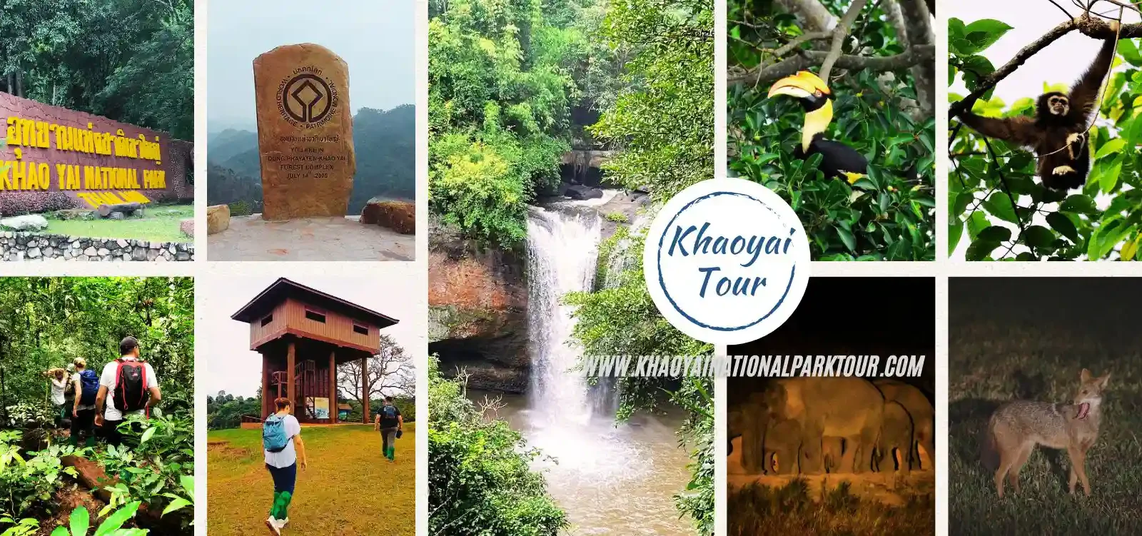 Khao Yai One Day Tour with Night Safari