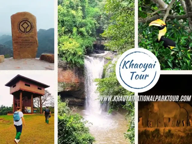 Khao Yai One Day Tour with Night Safari