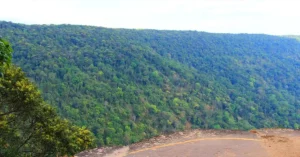 Best Time to Visit Khao Yai Weather & Seasonal Guide