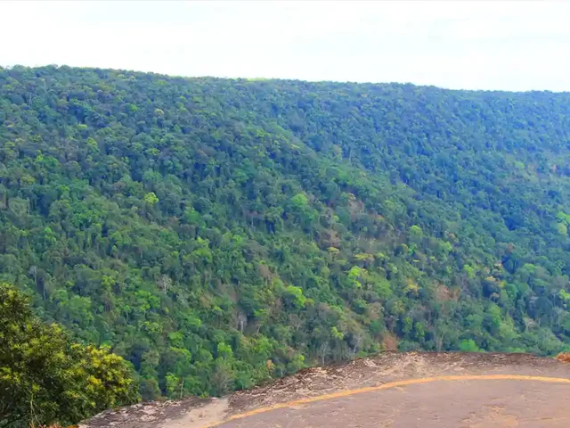 Best Time to Visit Khao Yai : Weather & Seasonal Guide