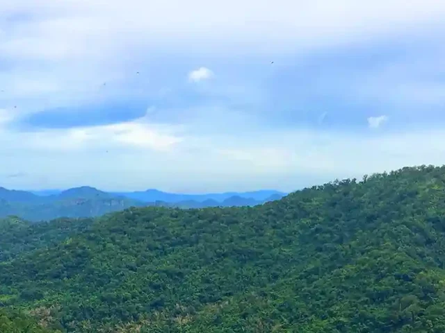How to Get to Khao Yai From Bangkok: 2026 Guide