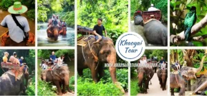 Khao Yai Elephant Ride Tour - Enjoy the Khao Yai elephant ride tour at Elephant Camp Khao Yai — a 30-minute jungle & creek ride plus feeding and touching elephants. Book Now!