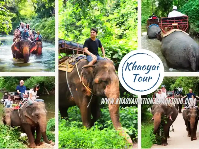 Khao Yai Elephant Ride Tour