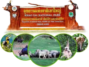 Khao Yai National Park Tours: The Complete Guide to Thailand's Best Wildlife Adventure