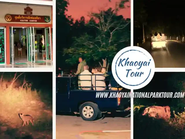 Khao Yai Night Safari Tour