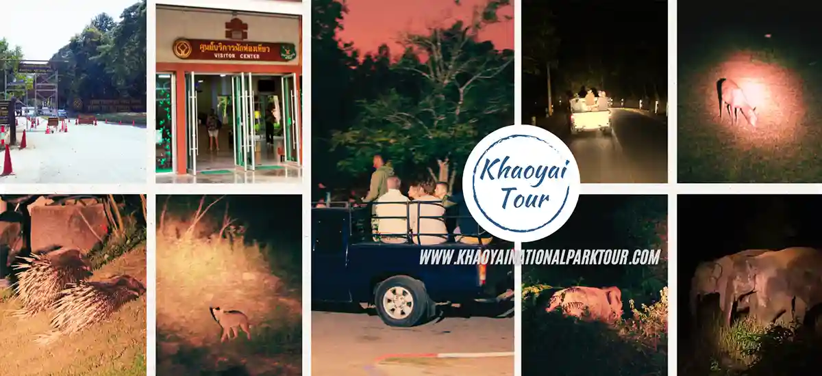 Khao Yai Night Safari Tour
