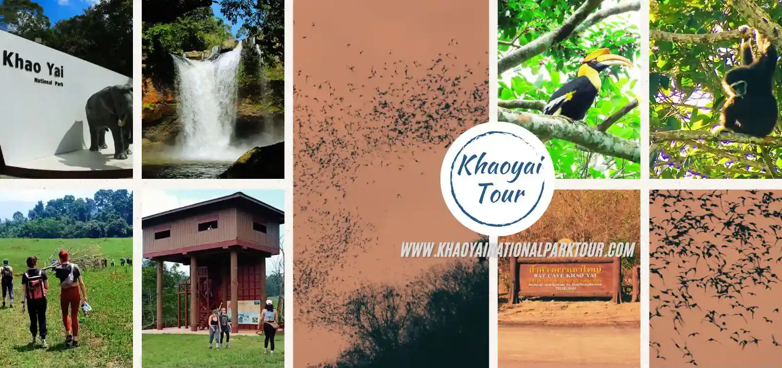 Khao Yai One Day Tour with Bat Cave