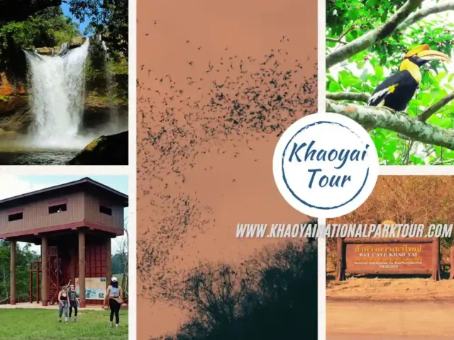 Khao Yai One Day Tour with Bat Cave