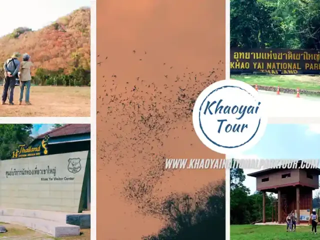 Khao Yai Tour 2 Days 1 Night from Bangkok