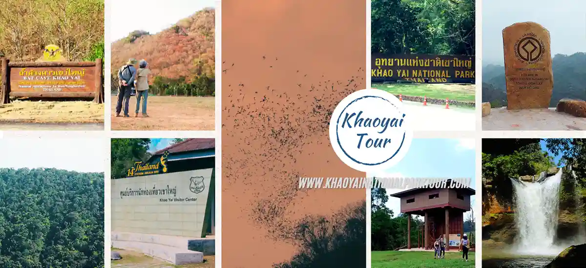 Khao Yai Tour 2 Days 1 Night from Bangkok