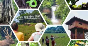 Khaoyai Tour from Bangkok : Book the best Khao Yai tour from Bangkok — daily departures, waterfall trekking, wildlife watching & expert guide. Small groups, English-speaking guide. Book Now!