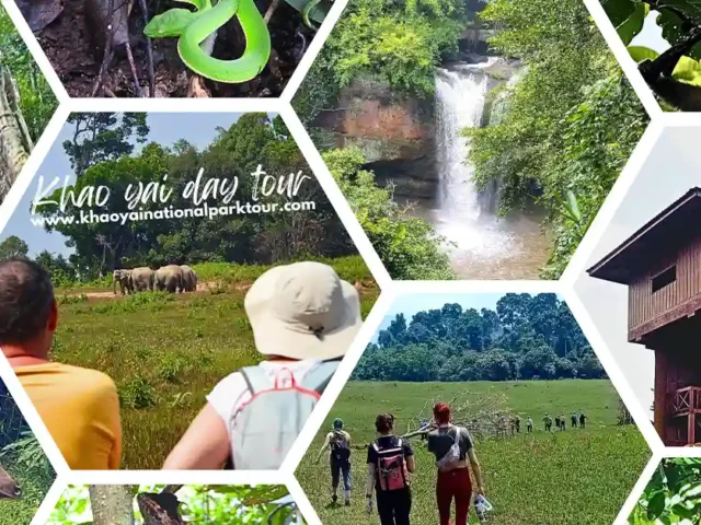 Khao Yai Tour Bangkok