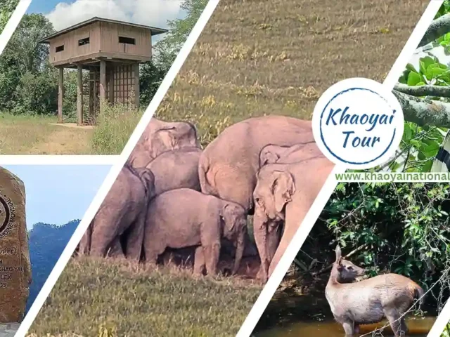 Khaoyai Day Tour from Pak Chong