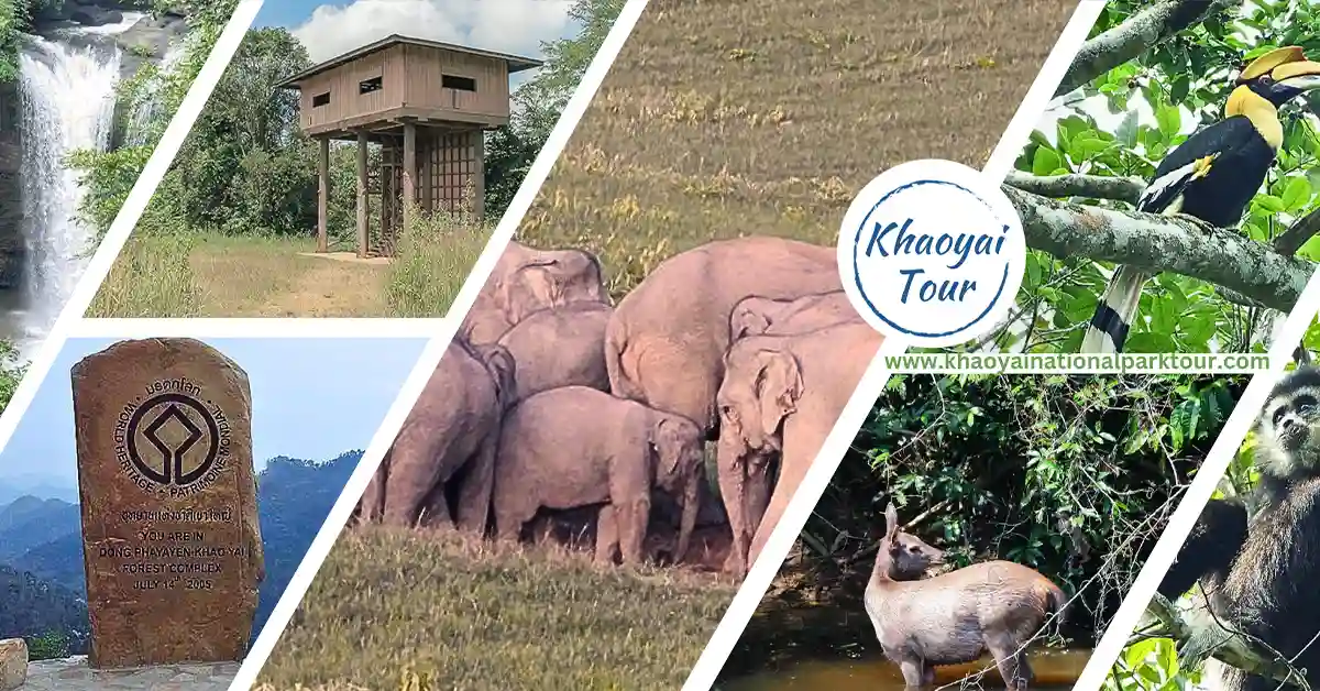 Khaoyai Day Tour from Pak Chong