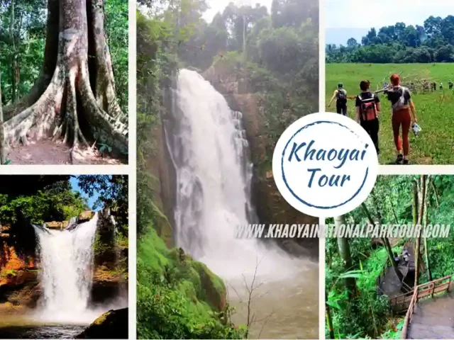 Khao Yai Trekking Tour