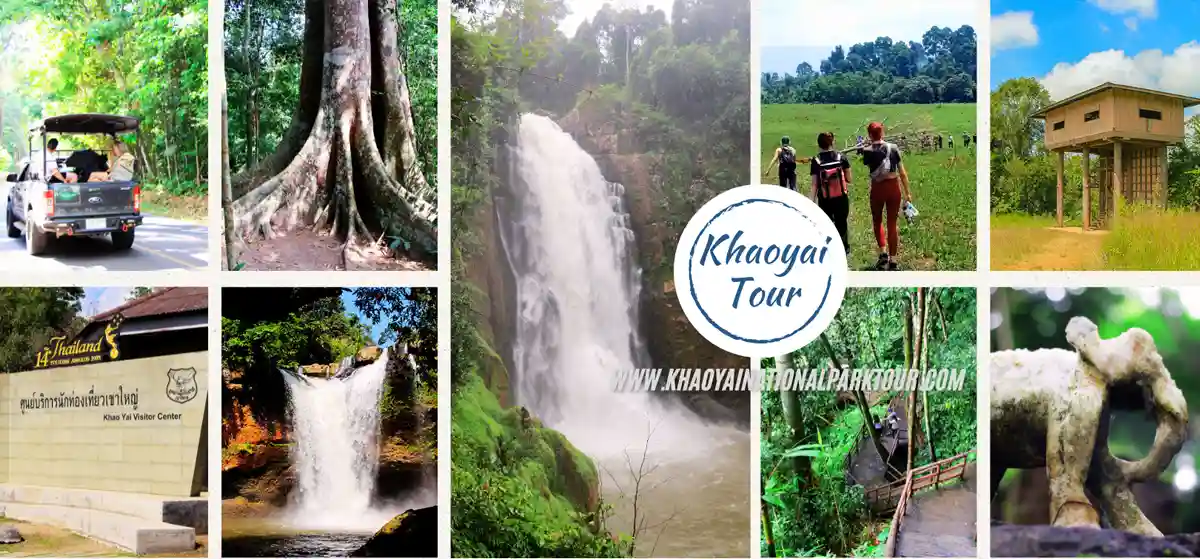 Khao Yai Trekking Tour